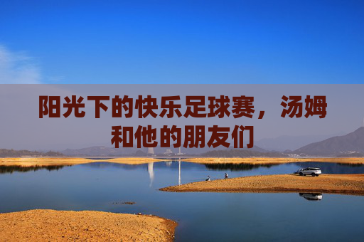 阳光下的快乐足球赛,汤姆和他的朋友们