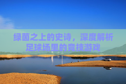 绿茵之上的史诗，深度解析足球场里的竞技游戏