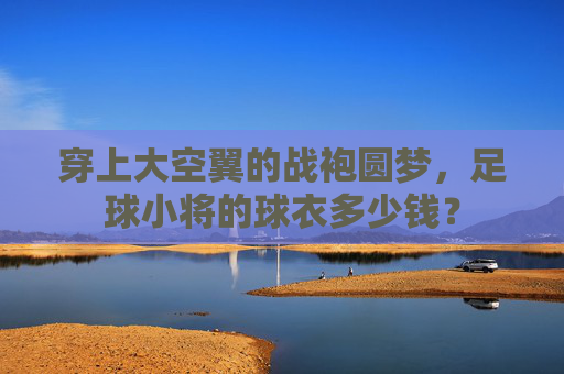 穿上大空翼的战袍圆梦,足球小将的球衣多少钱?