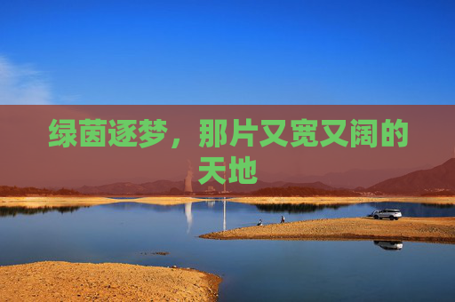 绿茵逐梦,那片又宽又阔的天地