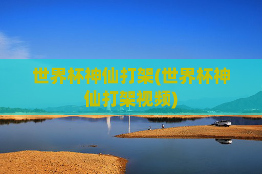 世界杯神仙打架(世界杯神仙打架视频)