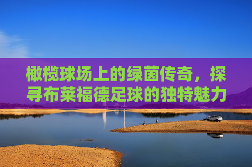 橄榄球场上的绿茵传奇，探寻布莱福德足球的独特魅力