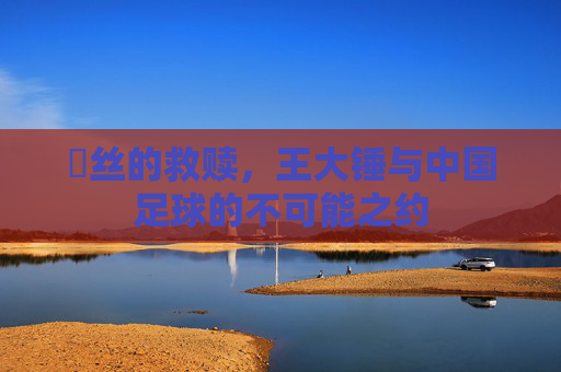 屌丝的救赎，王大锤与中国足球的不可能之约