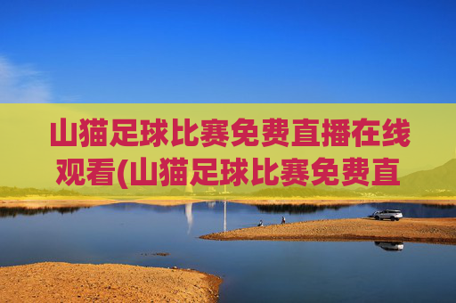 山猫足球比赛免费直播在线观看(山猫足球比赛免费直播在线观看视频)