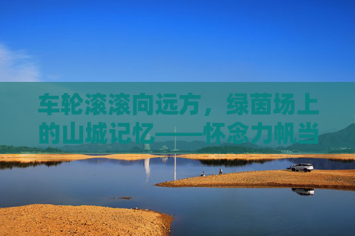 车轮滚滚向远方，绿茵场上的山城记忆——怀念力帆当代足球
