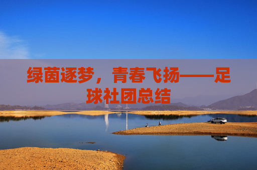 绿茵逐梦，青春飞扬——足球社团总结