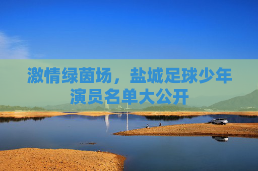 激情绿茵场，盐城足球少年演员名单大公开