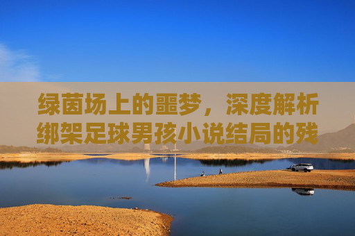 绿茵场上的噩梦,深度解析绑架足球男孩小说结局的残酷与救赎