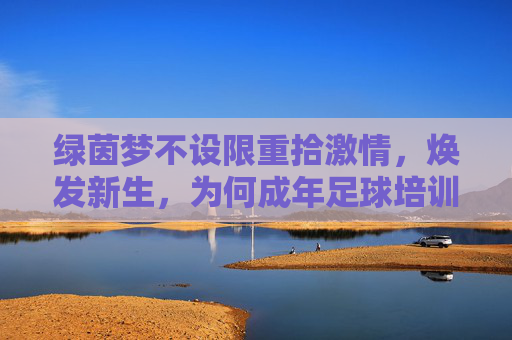 绿茵梦不设限重拾激情，焕发新生，为何成年足球培训班是您的最佳选择