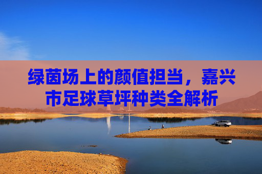 绿茵场上的颜值担当，嘉兴市足球草坪种类全解析