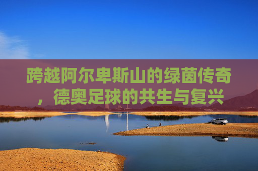 跨越阿尔卑斯山的绿茵传奇，德奥足球的共生与复兴