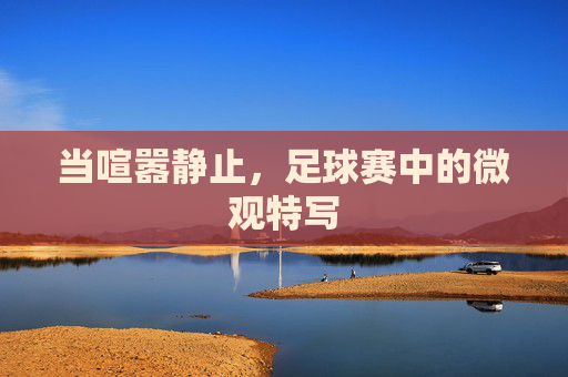当喧嚣静止，足球赛中的微观特写