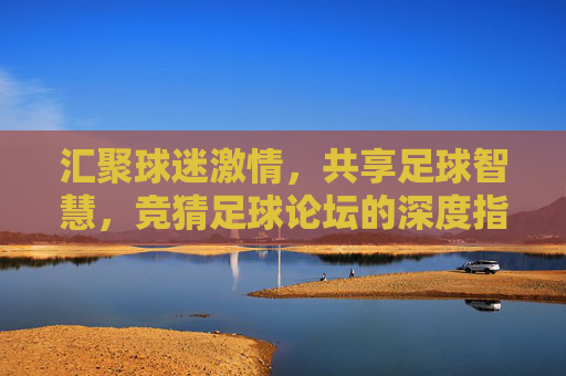 汇聚球迷激情，共享足球智慧，竞猜足球论坛的深度指南