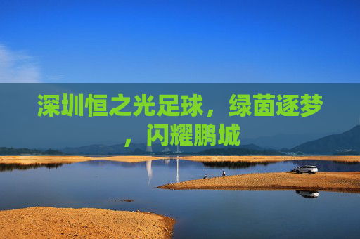 深圳恒之光足球,绿茵逐梦,闪耀鹏城
