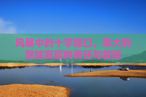 风暴中的十字路口,意大利足球高层的责任与救赎