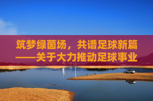 筑梦绿茵场，共谱足球新篇——关于大力推动足球事业发展的思考