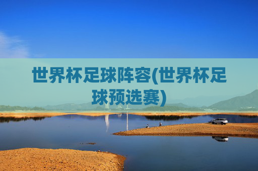 世界杯足球阵容(世界杯足球预选赛)
