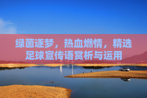 绿茵逐梦，热血燃情，精选足球宣传语赏析与运用