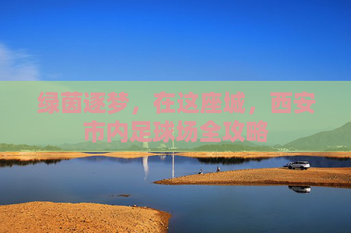 绿茵逐梦,在这座城,西安市内足球场全攻略