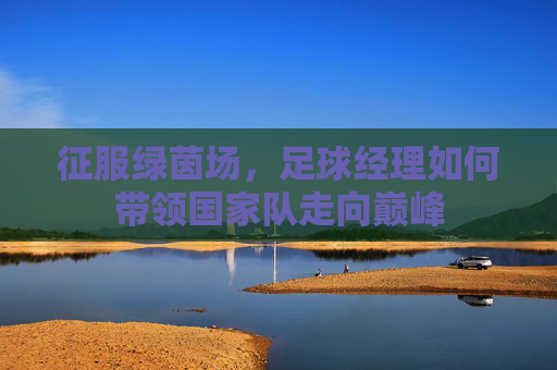 征服绿茵场，足球经理如何带领国家队走向巅峰
