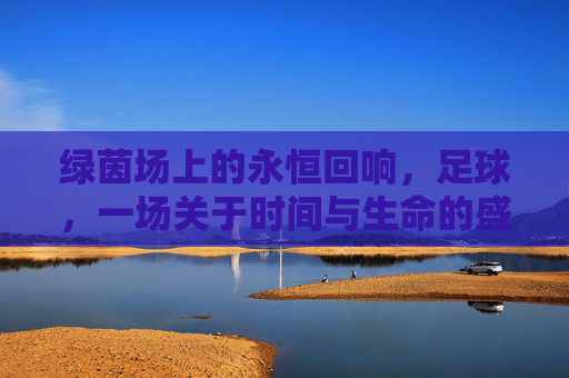 绿茵场上的永恒回响，足球，一场关于时间与生命的盛大终章