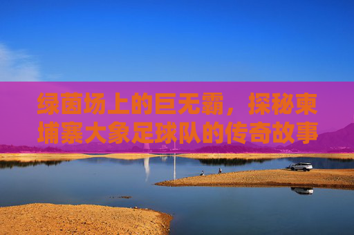 绿茵场上的巨无霸，探秘柬埔寨大象足球队的传奇故事