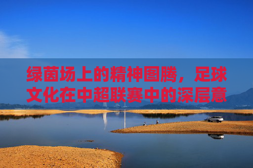 绿茵场上的精神图腾,足球文化在中超联赛中的深层意义