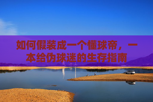 如何假装成一个懂球帝,一本给伪球迷的生存指南