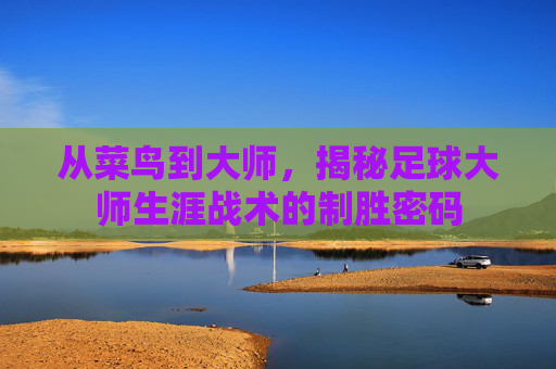 从菜鸟到大师,揭秘足球大师生涯战术的制胜密码