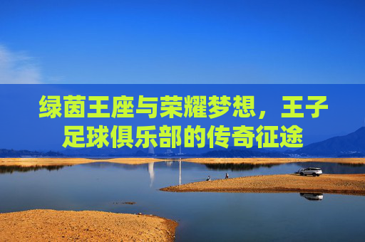 绿茵王座与荣耀梦想,王子足球俱乐部的传奇征途