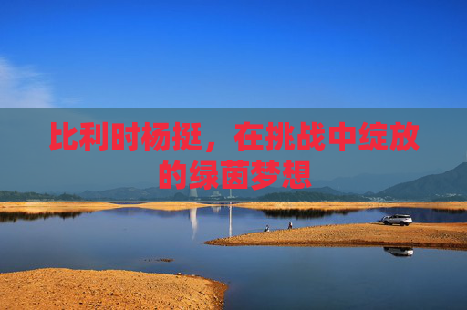 比利时杨挺,在挑战中绽放的绿茵梦想