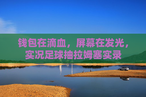 钱包在滴血，屏幕在发光，实况足球抽拉姆塞实录