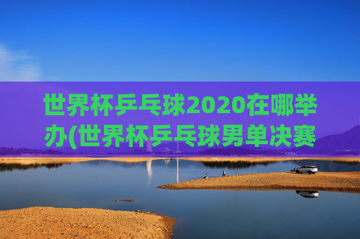 世界杯乒乓球2020在哪举办(世界杯乒乓球男单决赛)