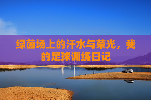 绿茵场上的汗水与荣光，我的足球训练日记