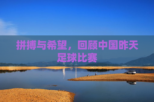拼搏与希望,回顾中国昨天足球比赛