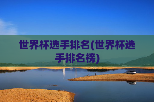 世界杯选手排名(世界杯选手排名榜)