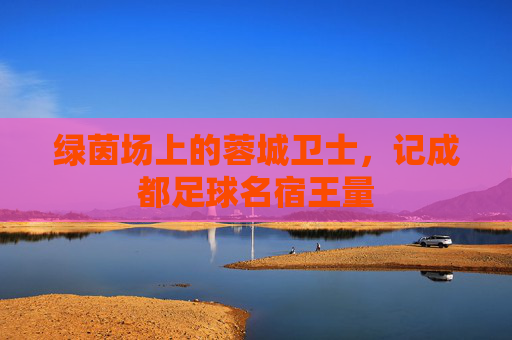 绿茵场上的蓉城卫士,记成都足球名宿王量