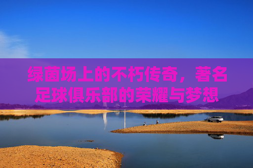 绿茵场上的不朽传奇，著名足球俱乐部的荣耀与梦想