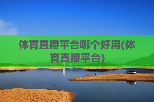 体育直播平台哪个好用(体育直播平台)