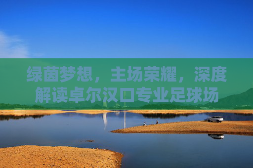 绿茵梦想，主场荣耀，深度解读卓尔汉口专业足球场