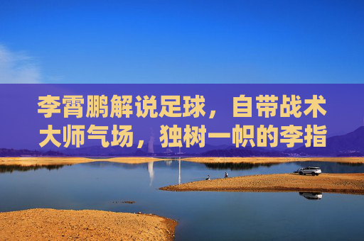 李霄鹏解说足球，自带战术大师气场，独树一帜的李指导风格