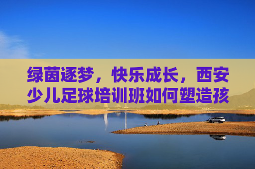 绿茵逐梦，快乐成长，西安少儿足球培训班如何塑造孩子的未来
