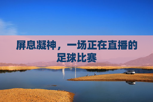 屏息凝神，一场正在直播的足球比赛