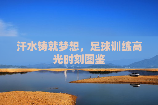 汗水铸就梦想，足球训练高光时刻图鉴