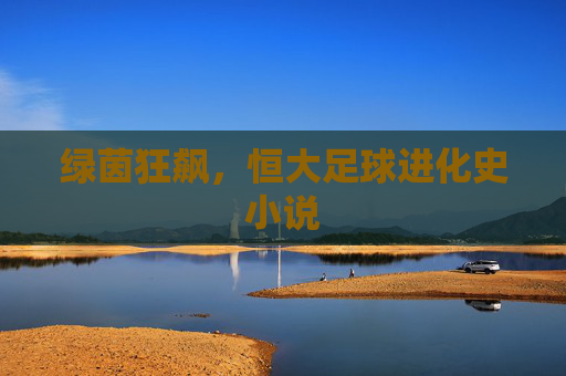 绿茵狂飙,恒大足球进化史小说
