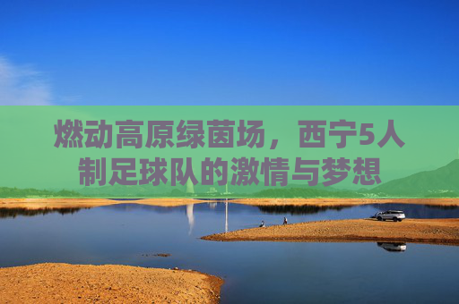 燃动高原绿茵场，西宁5人制足球队的激情与梦想