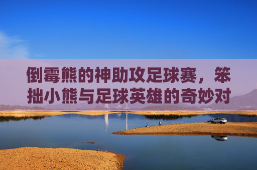 倒霉熊的神助攻足球赛，笨拙小熊与足球英雄的奇妙对决