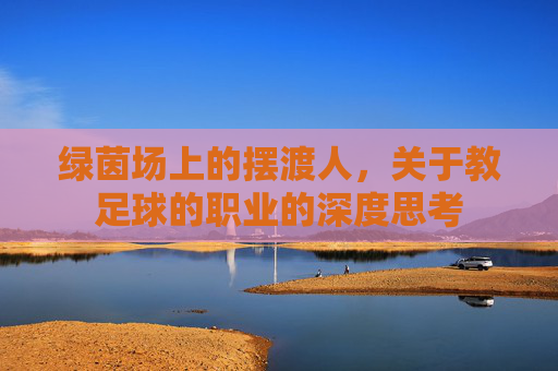绿茵场上的摆渡人，关于教足球的职业的深度思考
