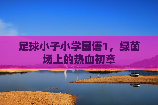 足球小子小学国语1，绿茵场上的热血初章