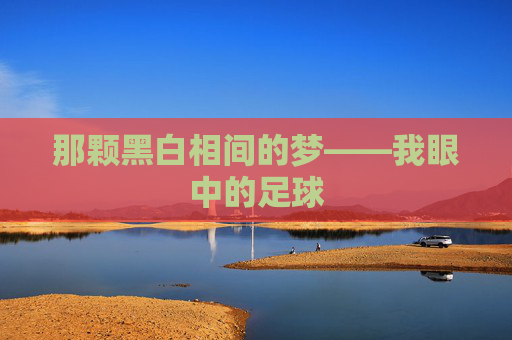 那颗黑白相间的梦——我眼中的足球
